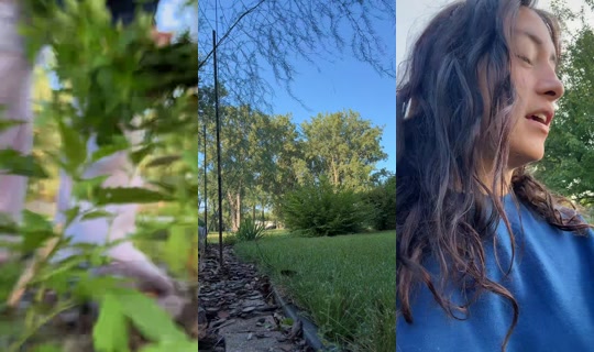hippiegypsyxx TikTok Live — Aug 20, 2026, 12:45 PM