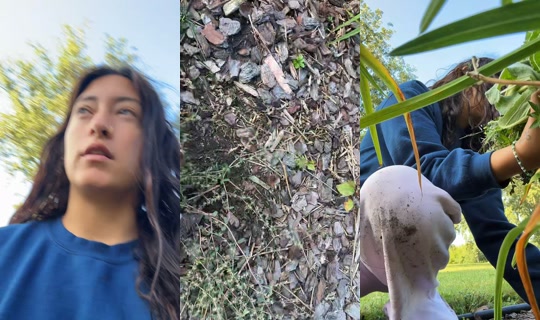 hippiegypsyxx TikTok Live — Aug 20, 2026, 1:15 PM