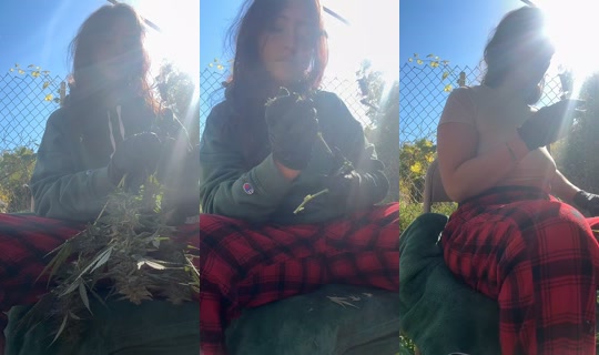 hippiegypsyxx TikTok Live — Oct 7, 2026, 3:47 PM