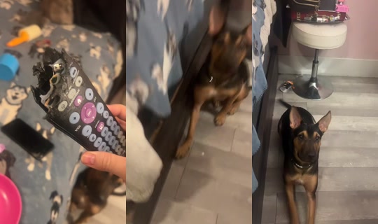 hmmnotagainkk TikTok Live — Aug 30, 2026, 5:30 AM