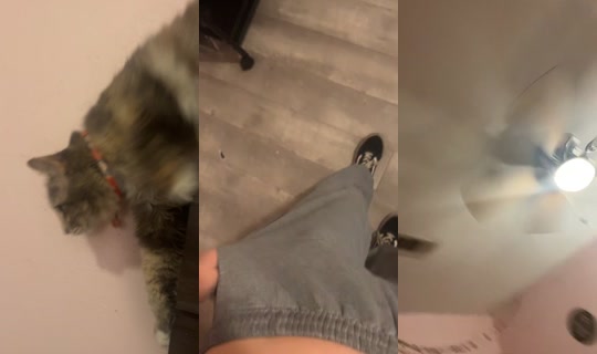 hmmnotagainkk TikTok Live — Aug 30, 2026, 5:59 AM
