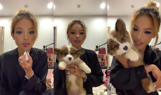 hnhgia6 TikTok Live — Sep 19, 2026, 12:11 AM