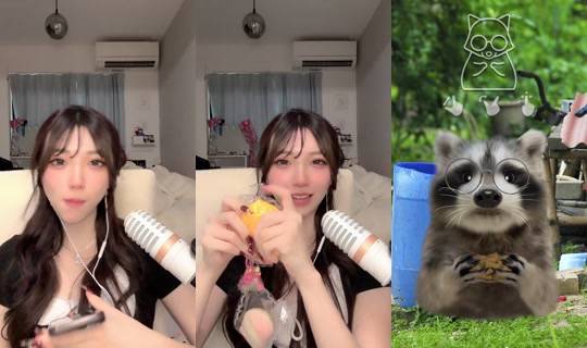 hnk831 TikTok Live — Sep 26, 2026, 12:47 AM