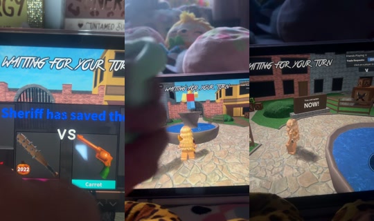 hollboll09 TikTok Live — Aug 23, 2026, 7:02 PM
