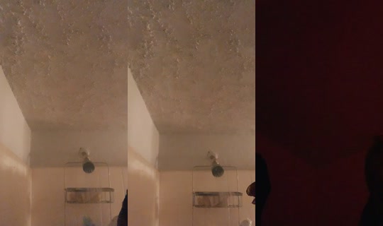 hollywood.dgaf TikTok Live — Aug 24, 2026, 4:12 AM