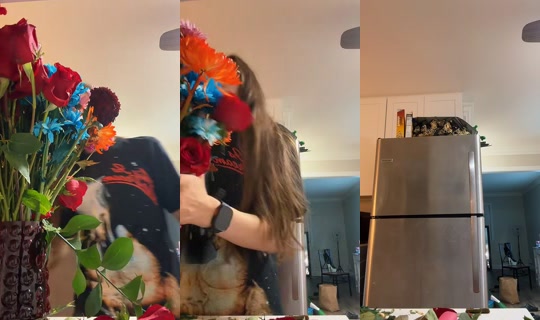 honeybunny_209 TikTok Live — Sep 30, 2026, 3:11 AM