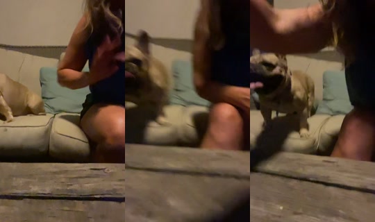 htownashley TikTok Live — Sep 30, 2026, 9:50 AM