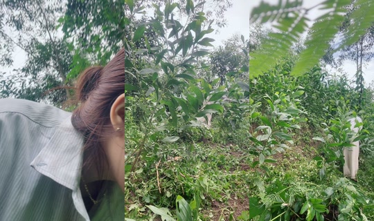 huong_linh97 TikTok Live — Aug 28, 2026, 12:23 AM