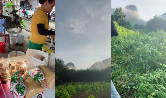 huong_linh97 TikTok Live — Aug 29, 2026, 11:31 PM