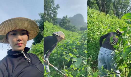 huong_linh97 TikTok Live — Aug 30, 2026, 12:09 AM