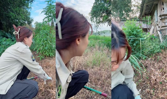 huong_linh97 TikTok Live — Oct 5, 2026, 9:38 AM