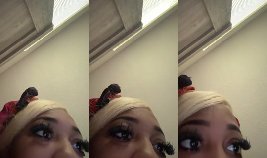 idcimshaunti TikTok Live — Oct 8, 2026, 12:54 PM