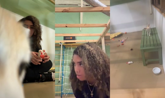 iiamnatttt TikTok Live — Oct 4, 2026, 8:00 PM