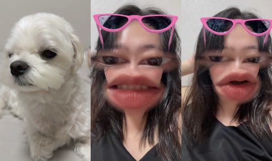 iililiiiliiiilli1 TikTok Live — Oct 1, 2026, 11:50 AM