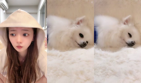 ikoicheko TikTok Live — Aug 30, 2026, 1:32 PM