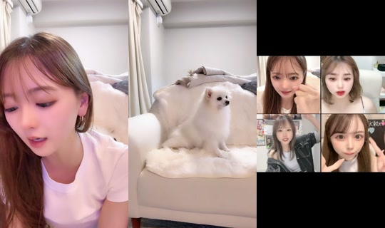 ikoicheko TikTok Live — Sep 1, 2026, 3:16 PM