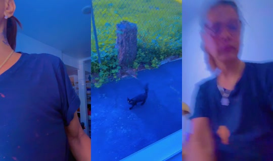 illtumblerforya TikTok Live — Sep 7, 2026, 12:50 PM