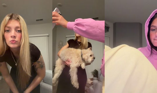 ilovegiraffes888 TikTok Live — Oct 1, 2026, 3:47 AM