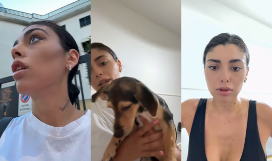 immatrinchillo TikTok Live — Aug 24, 2026, 5:58 PM