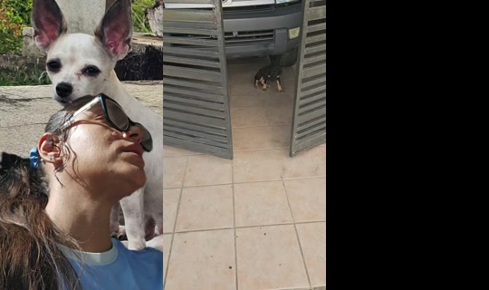 india100x35pr TikTok Live — Aug 24, 2026, 12:52 PM