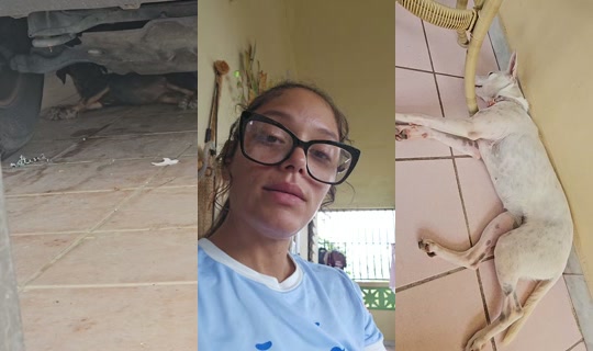 india100x35pr TikTok Live — Aug 24, 2026, 2:06 PM