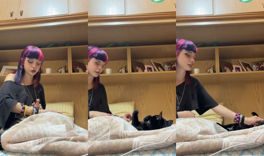 insane.lilii TikTok Live — Aug 29, 2026, 2:49 PM