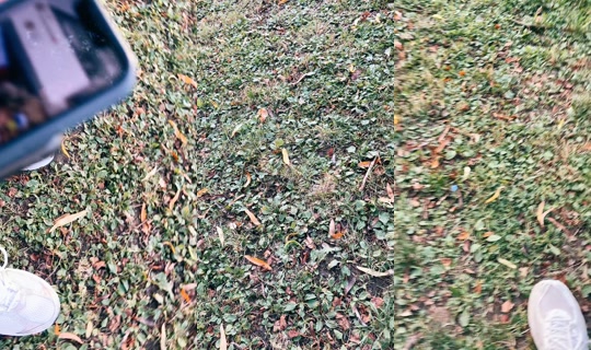 invisible_name_btw TikTok Live — Oct 3, 2026, 3:41 PM