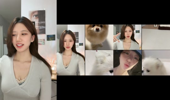 ioamoari TikTok Live — Sep 1, 2026, 1:35 PM