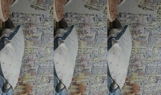 irina_210396mail.ru3 TikTok Live — Oct 8, 2026, 5:50 PM