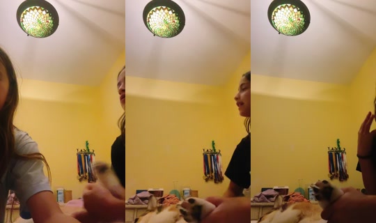 isla.is.a.picklee TikTok Live — Aug 24, 2026, 1:28 AM
