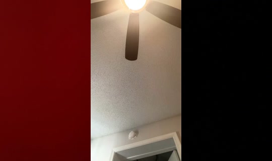issacutie2.0 TikTok Live — Aug 24, 2026, 2:12 PM