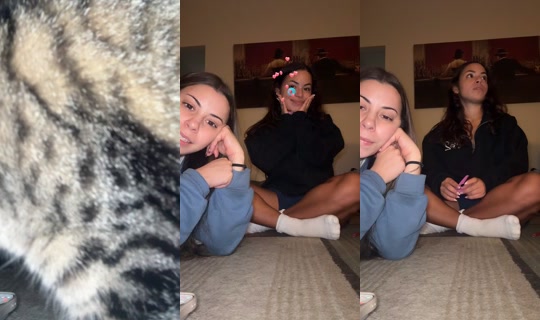 itsalicolee TikTok Live — Oct 2, 2026, 3:52 AM