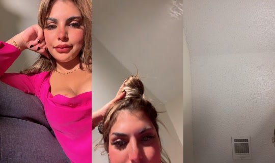 itsmeefifi1 TikTok Live — Aug 31, 2026, 11:44 AM
