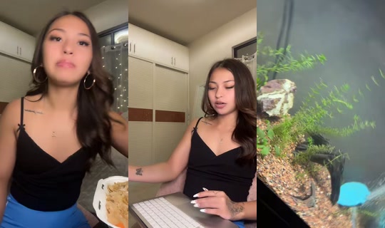 itssleonaaa_ TikTok Live — Sep 1, 2026, 12:12 PM