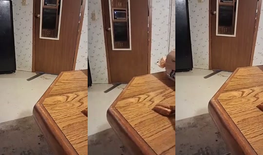 ivanabbott2ivan21954 TikTok Live — Aug 30, 2026, 11:29 PM