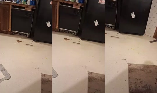 ivanabbott2ivan21954 TikTok Live — Aug 30, 2026, 11:44 PM