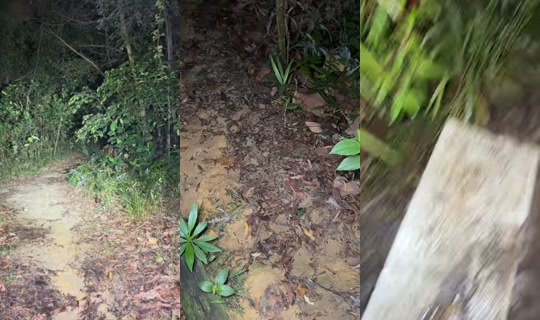 izzueislam TikTok Live — Oct 3, 2026, 7:14 PM