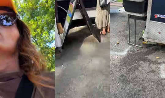 jacquelinefoxyfizz TikTok Live — Aug 30, 2026, 8:33 PM