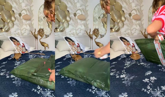 jadedubois2retour TikTok Live — Sep 3, 2026, 11:16 AM