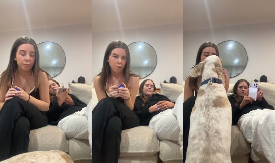 jaida..hall TikTok Live — Sep 8, 2026, 9:41 AM