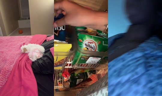 janylagreenleaaa TikTok Live — Aug 26, 2026, 6:08 AM