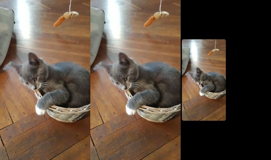 japp0270 TikTok Live — Sep 2, 2026, 7:32 AM