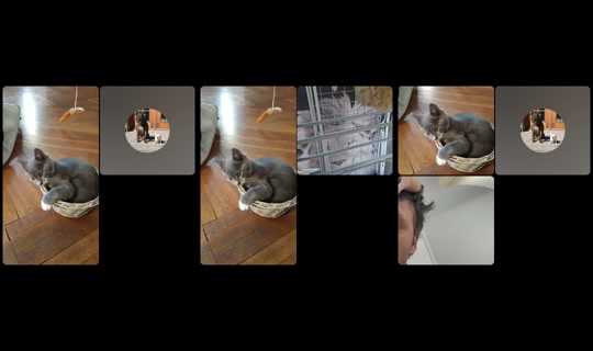 japp0270 TikTok Live — Sep 2, 2026, 8:22 AM