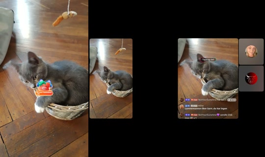 japp0270 TikTok Live — Sep 3, 2026, 11:02 AM