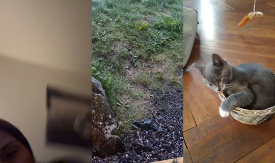 japp0270 TikTok Live — Sep 3, 2026, 6:04 PM