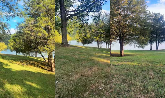 jdh_2026 TikTok Live — Sep 22, 2026, 9:18 PM