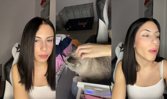 jdjdbeldbjfdjdk TikTok Live — Sep 20, 2026, 7:22 PM