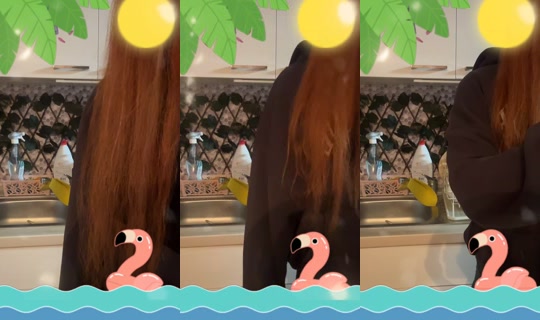 jennypmfjzo TikTok Live — Sep 20, 2026, 5:52 PM