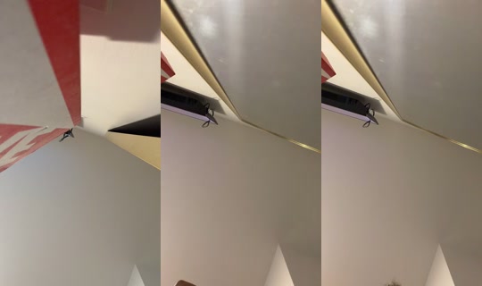 jersey.morton_ TikTok Live — Sep 27, 2026, 1:08 AM