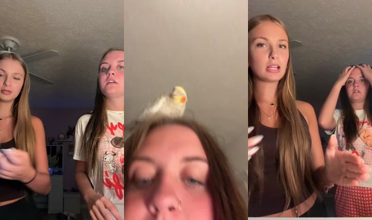 jessikagriffith TikTok Live — Aug 20, 2026, 1:47 AM